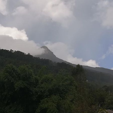 Paradise Entrance 纳拉坦尼亚 外观 照片